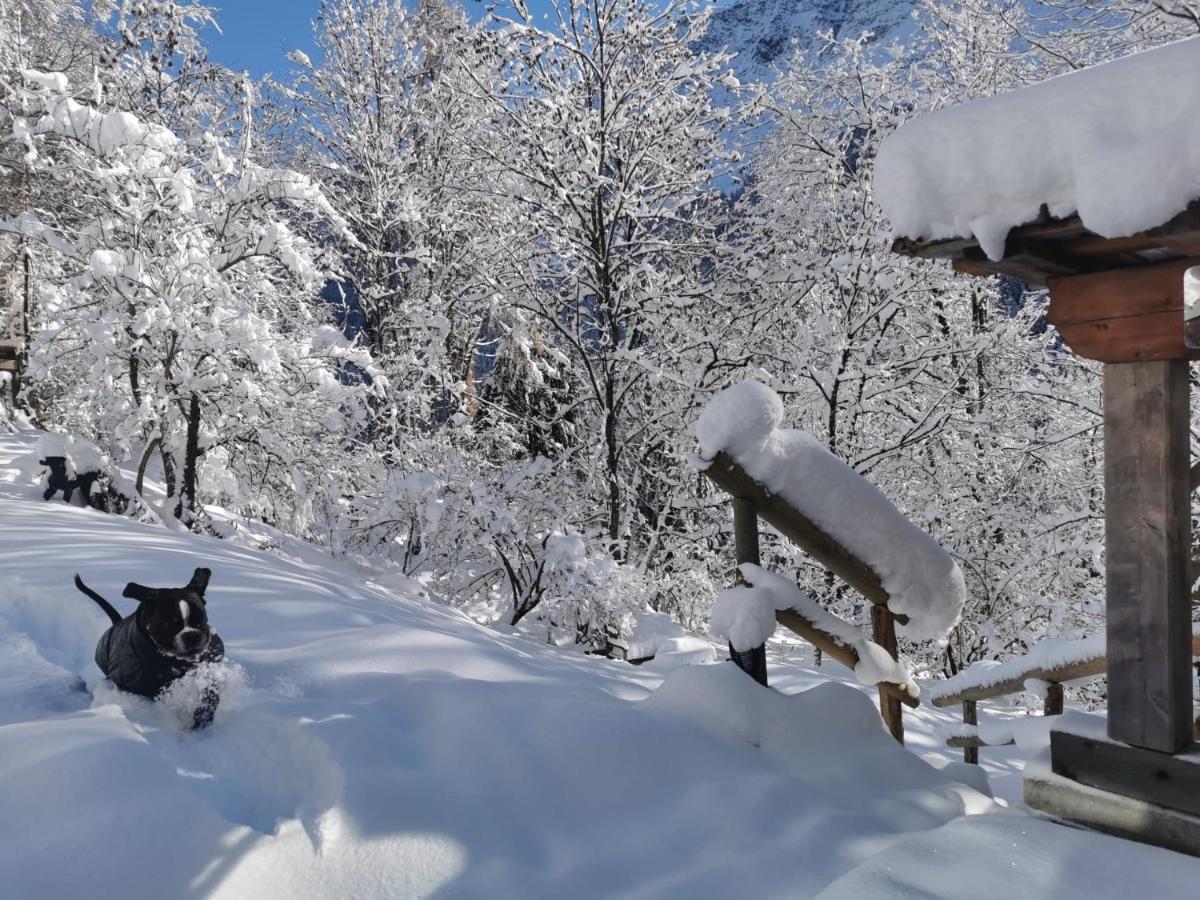 Dolomiti House Hotel Cibiana Bagian luar foto