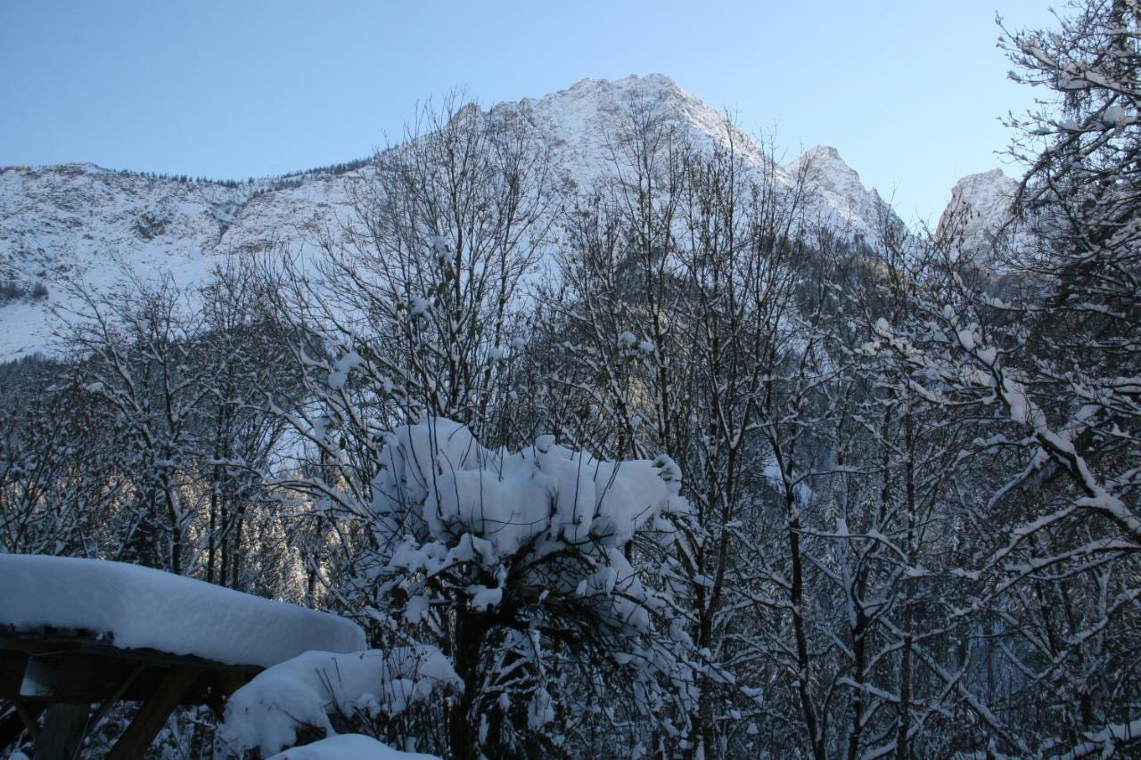 Dolomiti House Hotel Cibiana Bagian luar foto