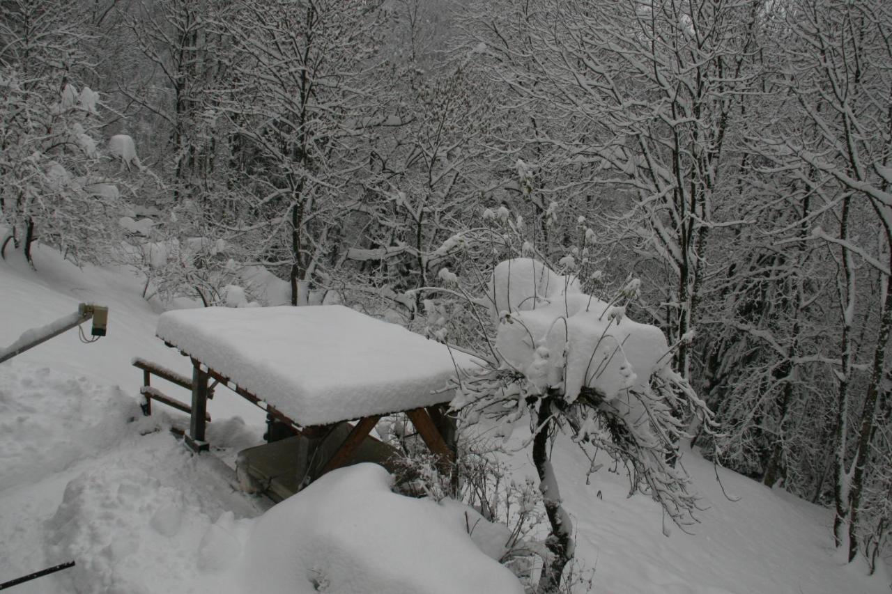 Dolomiti House Hotel Cibiana Bagian luar foto