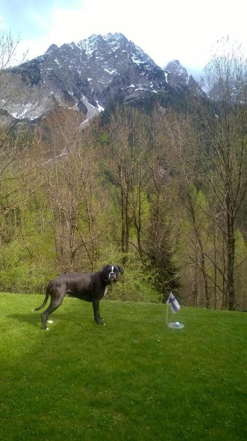 Dolomiti House Hotel Cibiana Bagian luar foto